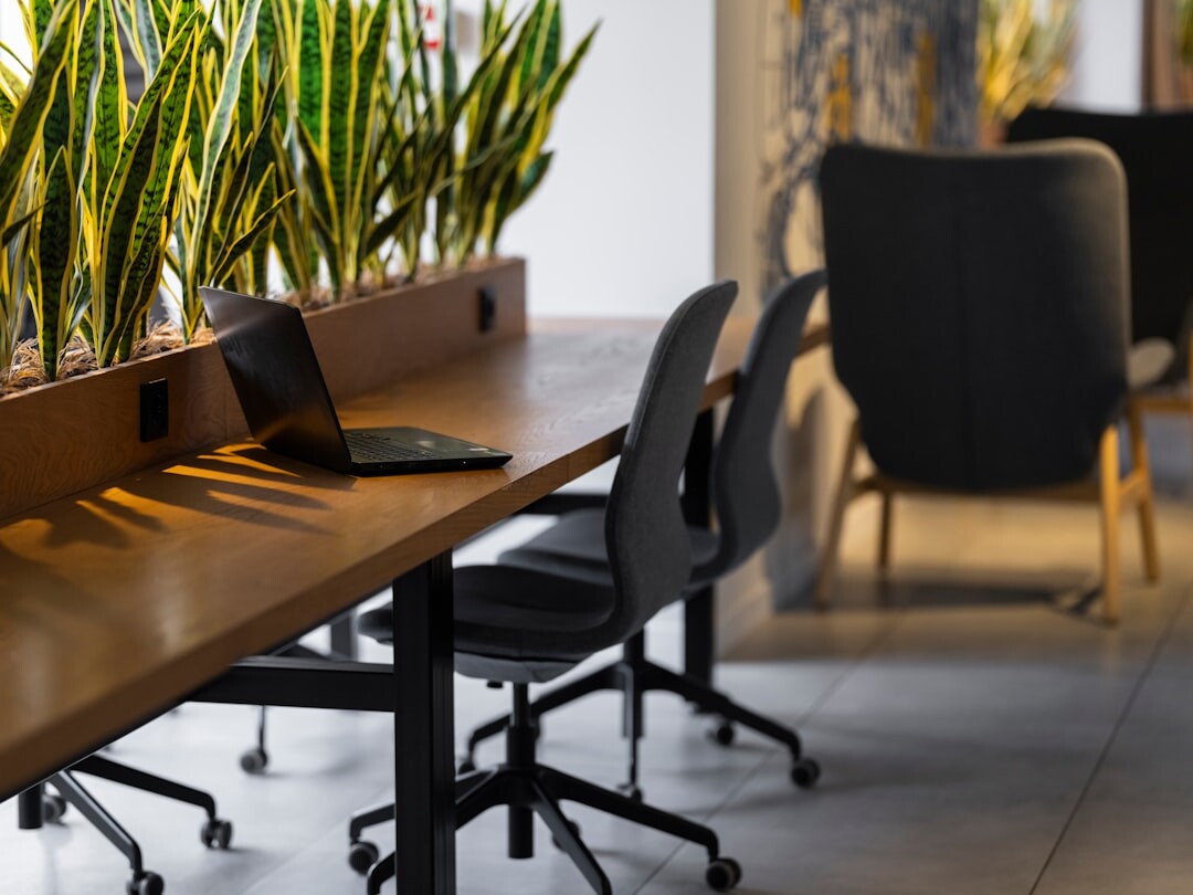 Modern empty office workspace with plants and daylight