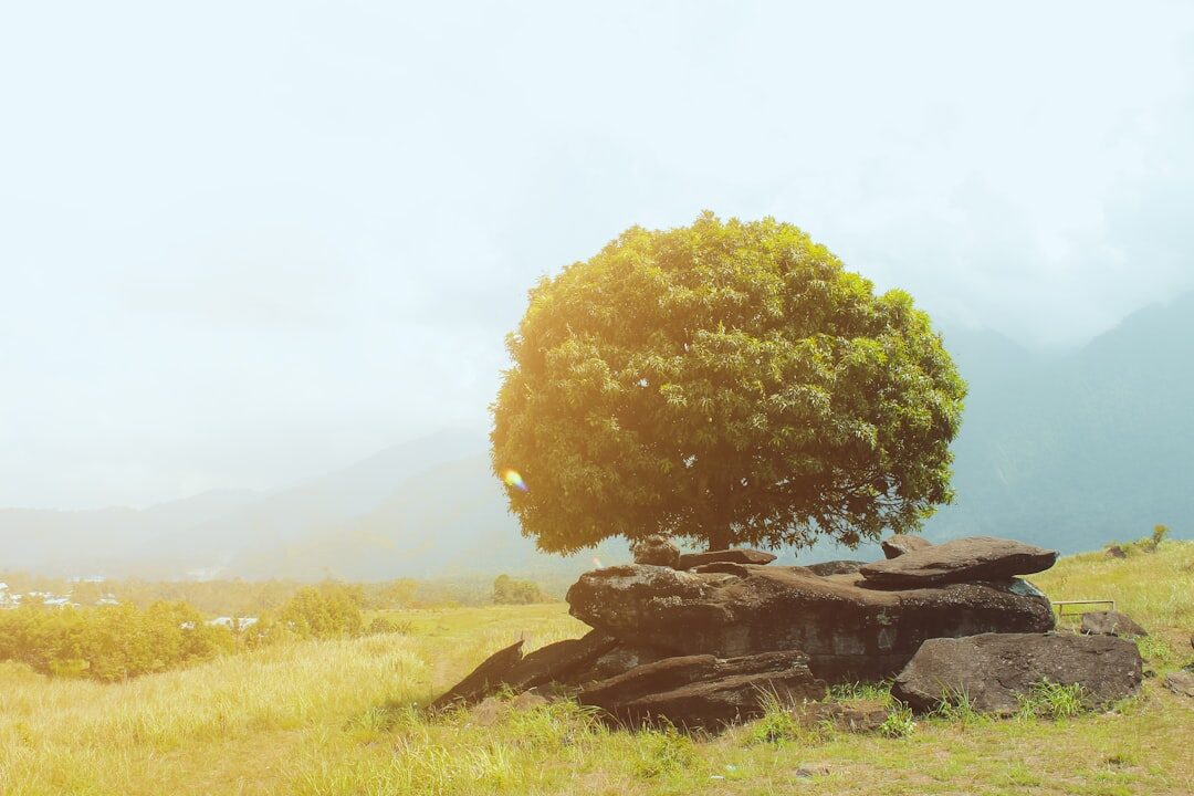 sustainable business practices