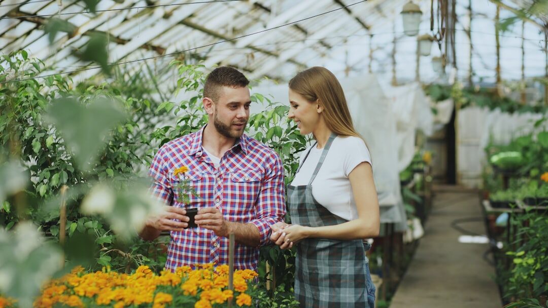 small business growth