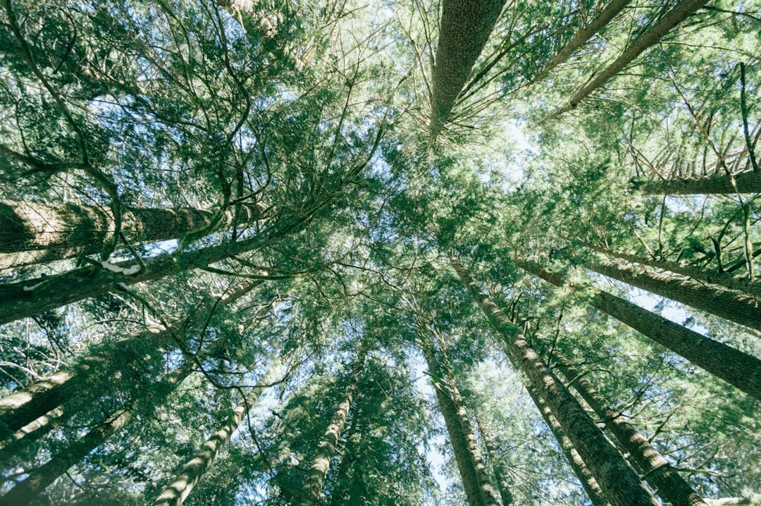 sustainable business practices